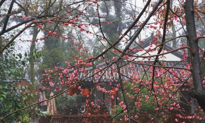 桃園親子景點室內