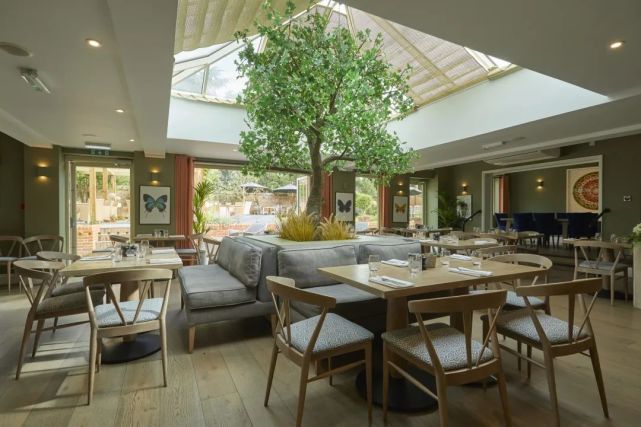 皇家橡樹旅館客房