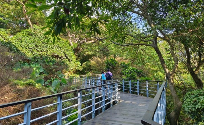 五股農場旅遊攻略：探索親子農業體驗景點